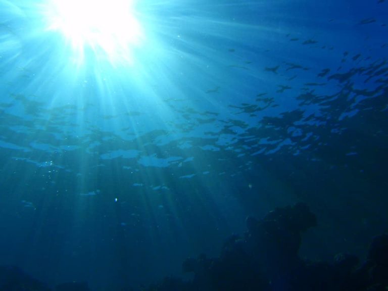 Deep Dive Fiji Sunshine by Erin Khoo on Flickr